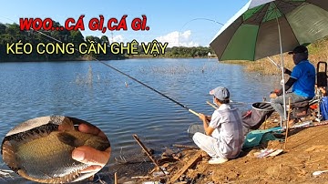 VUONG LT VLOG Câu cá giải trí - Cá Rô - Cá Chạch Bông - Hồ  Thiên nhiên Suối Tre - Đồng Nai