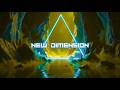 New Dimension [Full Album] Electronic Space Journey