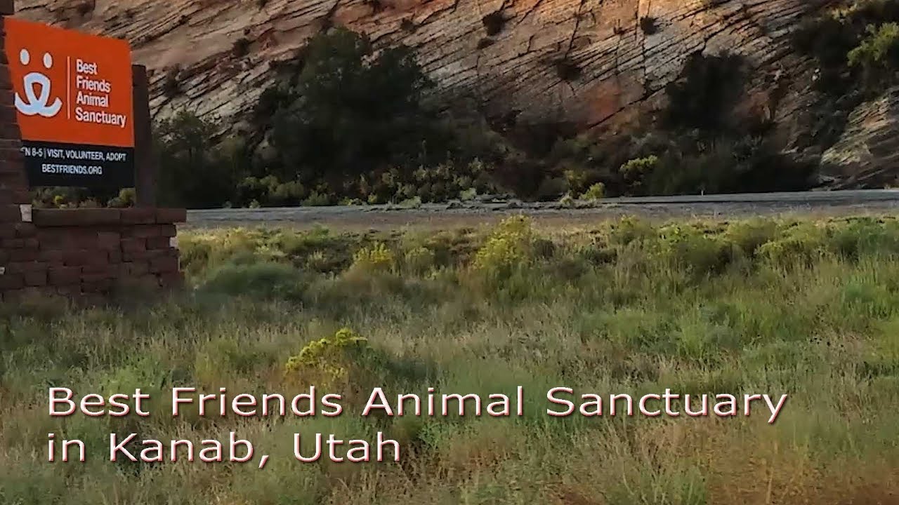 Best Friends Animal Sanctuary, Kanab Utah - YouTube