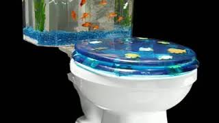 DIY : Learn how to make a aquarium (Fish tank) using glass, decorative stone and artificial plant.
