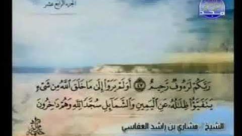 أولم يروا إلى ما خلق الله من شيء يتفيأ ظلاله عن اليمين والشمائل سجدا لله سورة النحل مشاري العفاسي