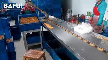 biscuit packaging machine,cookies packaging machine, flow wrapping machine, flow pack