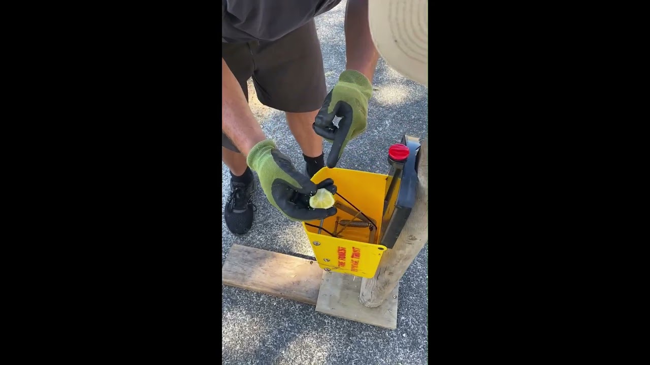 Flipping Timmy Trap – Setting the Sensitivity Tab for Better Catches!