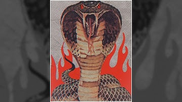 [FREE] KEY GLOCK LOOP KIT/SAMPLE PACK | 2024 | (YOUNG DOLPH, FUTURE, BANDPLAY, MEMPHIS, BIG30)