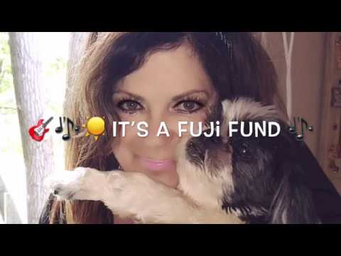 ”Fuji Fund Song” (Music Video Short) by Thomas Tom Di Stefano