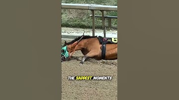 What Happens If a Racehorse Falls