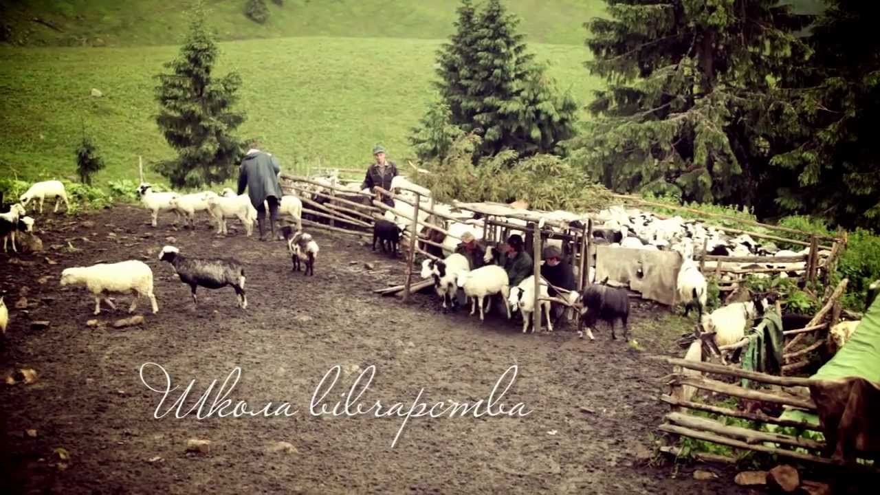 Колочава.mp4