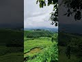 Munnar during monsoons | Kerala tourism 2023 | Kerala tour | Munnar Kerala | Writam Roy