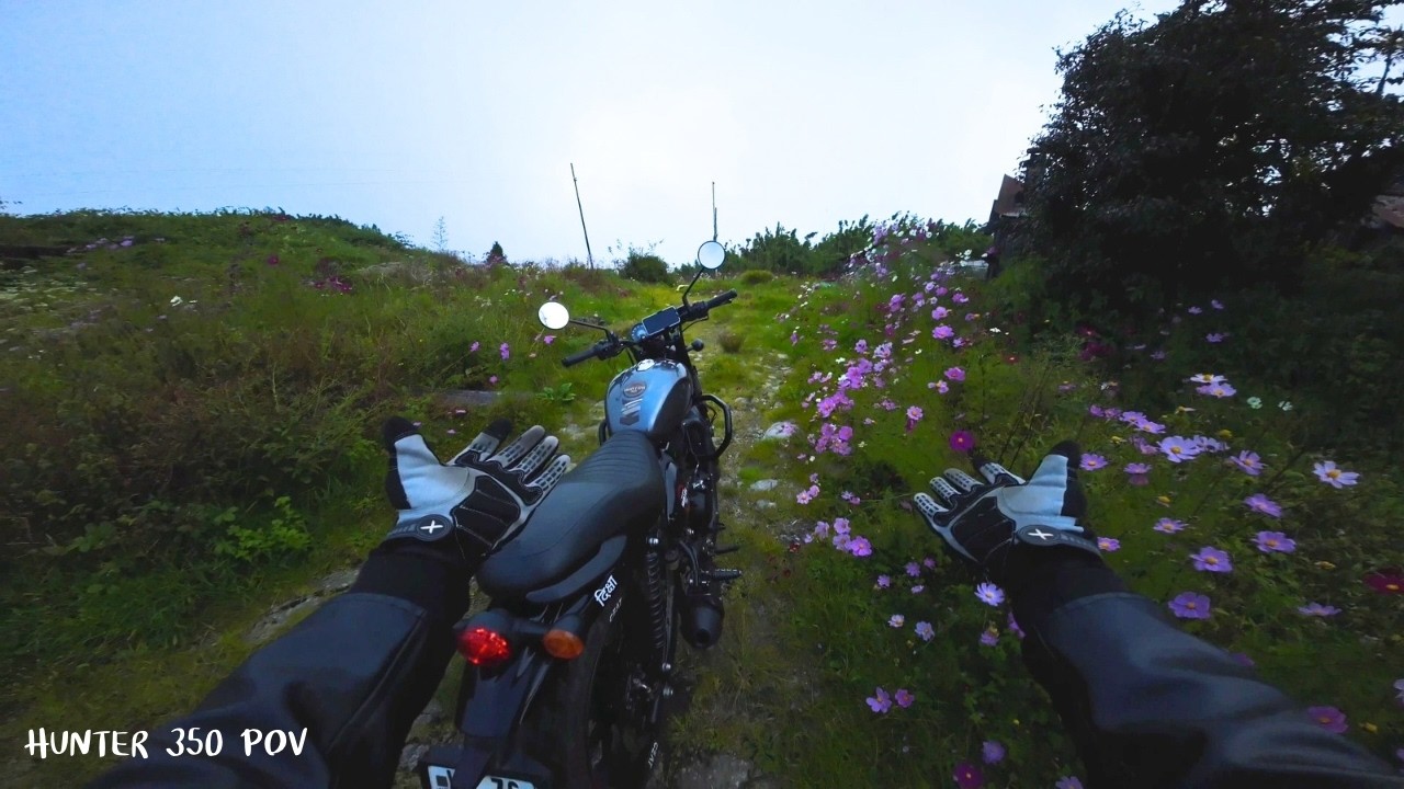 Darjeeling Wildlife Sanctuary | Hunter 350 POV Ride