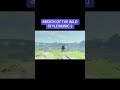 BREATH OF THE WILD TYPE MUSIC