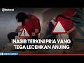 Geger! Aksi Pria Kepergok Tega Lecehkan Anjing di Kafe Pluit, Kini Ditangkap Polisi