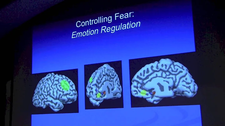 Elizabeth Phelps, PhD: Emotion and Decision Making