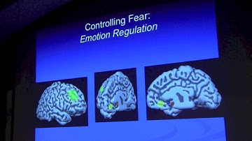 Elizabeth Phelps, PhD: Emotion and Decision Making