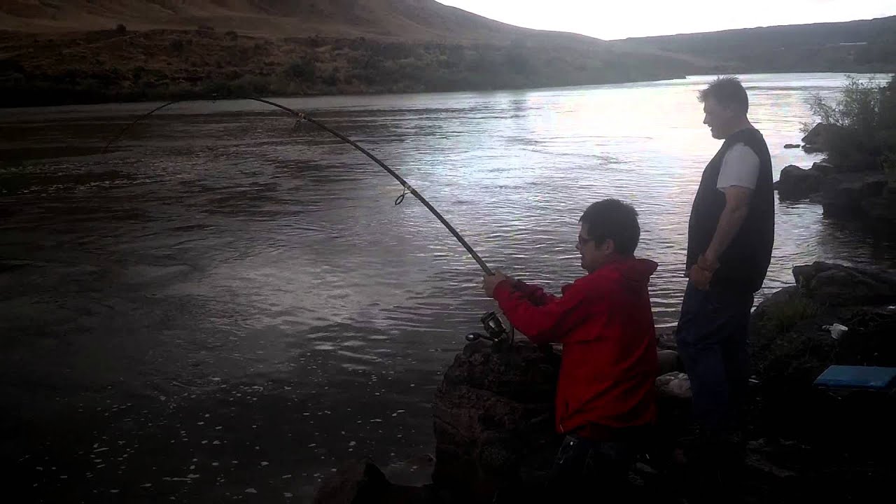 Sturgeon Fishing hagerman idaho YouTube