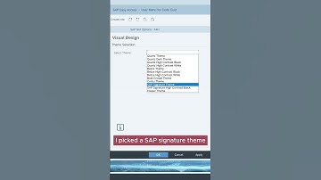 SAP GUI change theme #sap #gui #theme