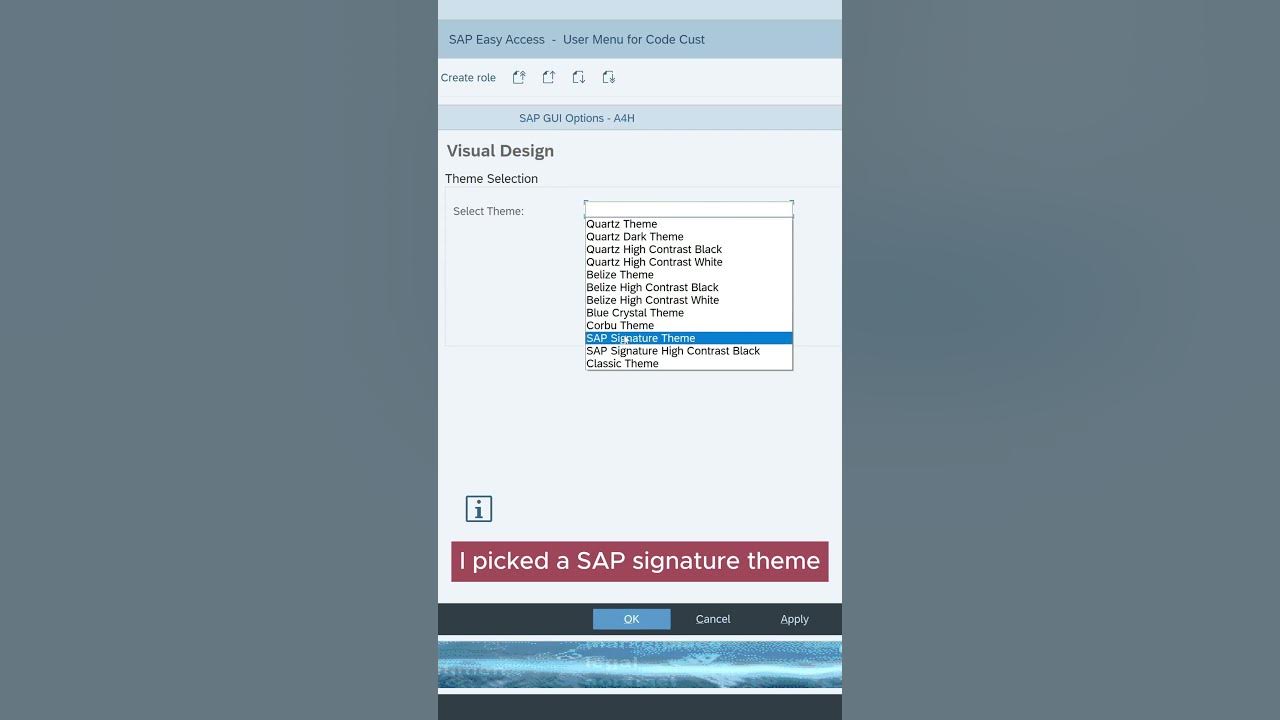 Sap gui change theme sap gui theme youtube