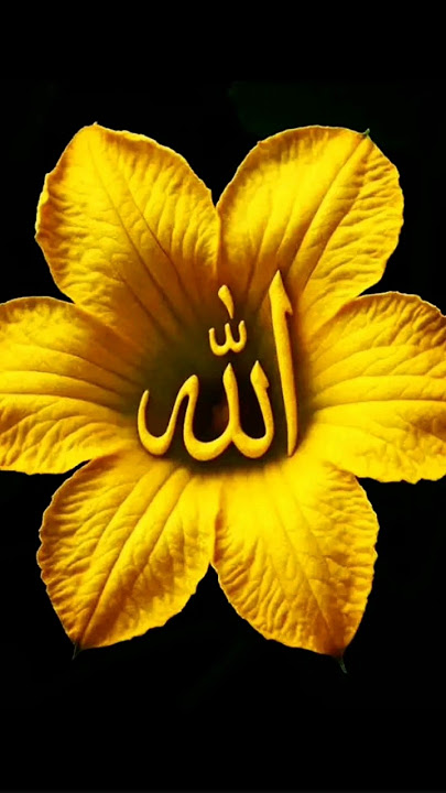 #shorts #viralvideo #love