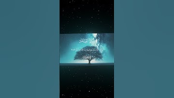 سورة القيامة|13-19|القارئ:#محمد_اللحيدان #قران #quran #راحة_نفسية #قران_كريم#تلاوة_هادئة#تلاوة_خاشعة
