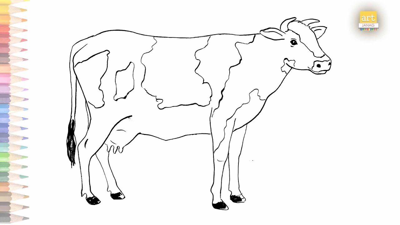 Incredible Compilation: Over 999 Cow Drawing Images in Stunning 4K ...