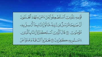 سورة الأعراف (الآية 65 ~ الآية 84) -  ياسر بن راشد الدوسري
