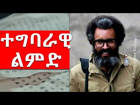 ቪዲዮ: ተግባራዊ ችሎታዎች ምንድን ናቸው?