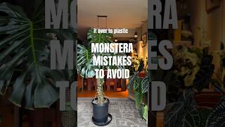 Common Monstera mistakes #plants