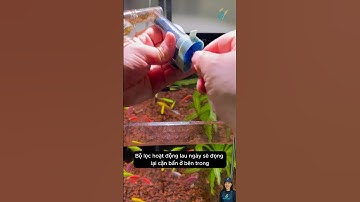 Bàn chải dây lò xo cọ sạch ống dẫn nước | Flexible Pipe Cleaning Brush #aquarium #aquatic #shorts