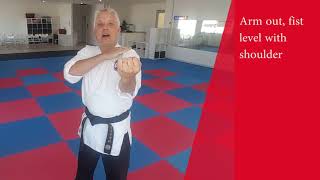 Kihon - Middle Block Beginner