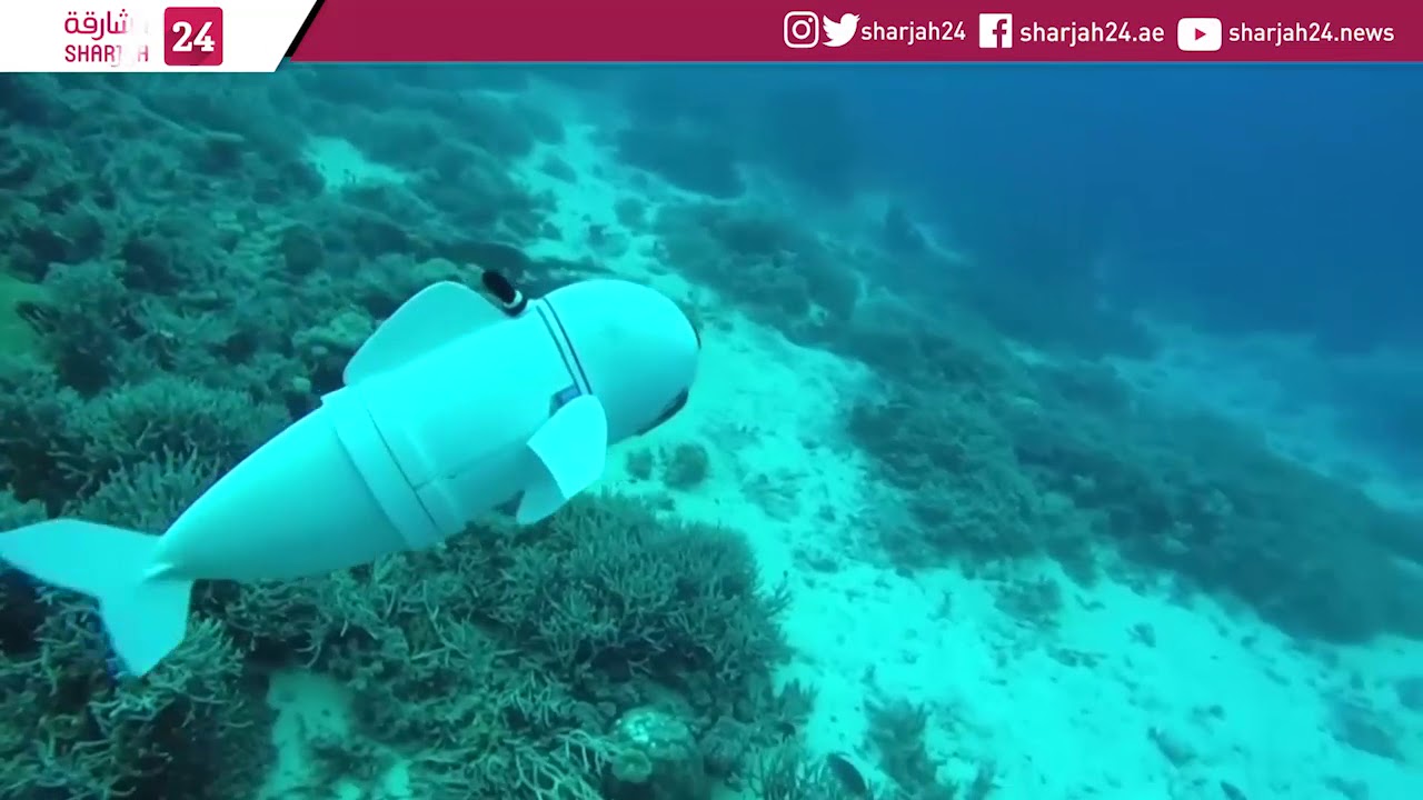 If you want to find Nemo, you may need SoFi, the robotic fish