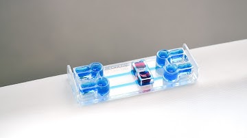 Be-Transflow: Cell culture