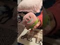 Peluches de segunda mano de Value Village, Canadá. Parte 2. 🧸