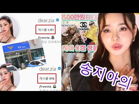 송지아의 ‘짝퉁’ 구매·유튜브 수익은 사기 법적 처벌 될까