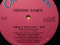 Thumbnail for Roxanne Shanté- Have A Nice Day (Instrumental Dub)