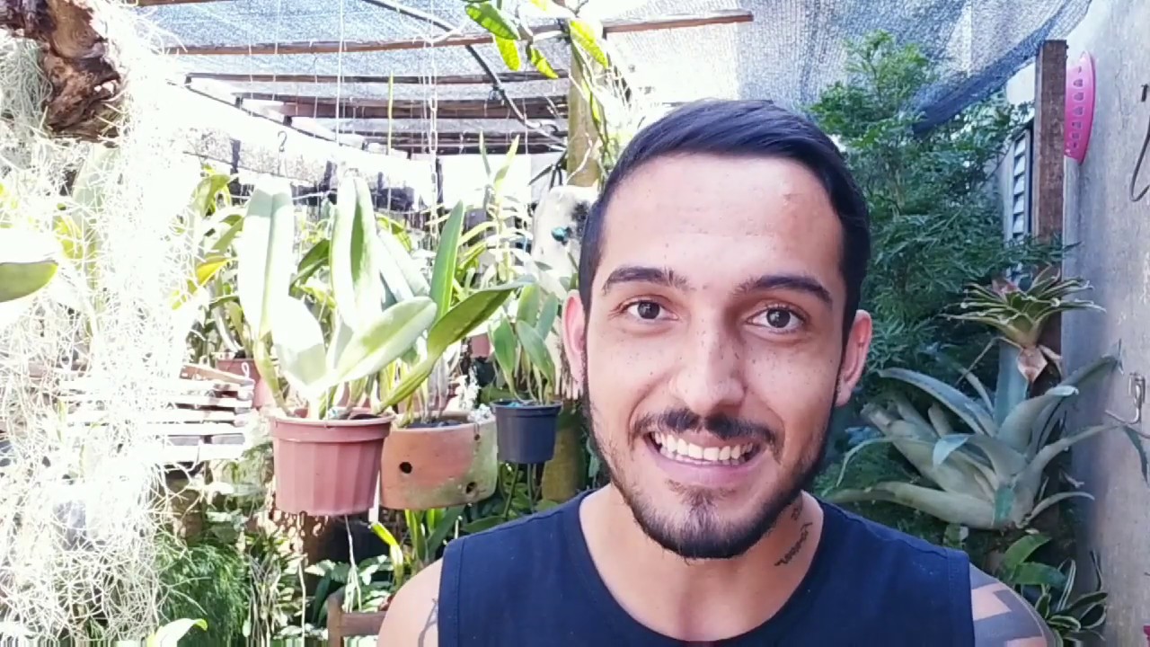 Leitura do livro CULTIVO PRÁTICO DE ORQUÍDEAS! PARTE 1