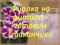 Фиалка на фитиле - готовим стаканчики и несколько лайфхаков