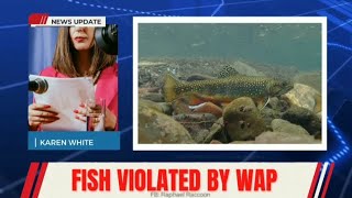 Violated Trout Breaks Silence About Viral Video - SeaBeePest News