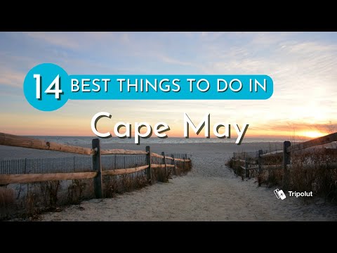 Video: Co dnes dělat v Cape May?