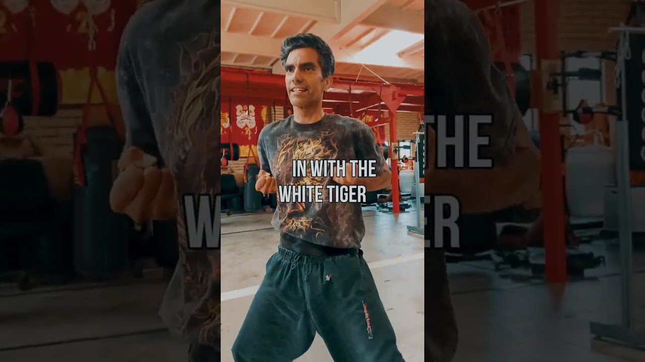 Train With The White Tiger Family | Kung Fu Warm-up Exercise