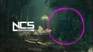 Kanine - Feel The Vibration | Drum & Bass | NCS Fanmade