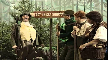 Jaké je kofeinové vlastnosti kávy?