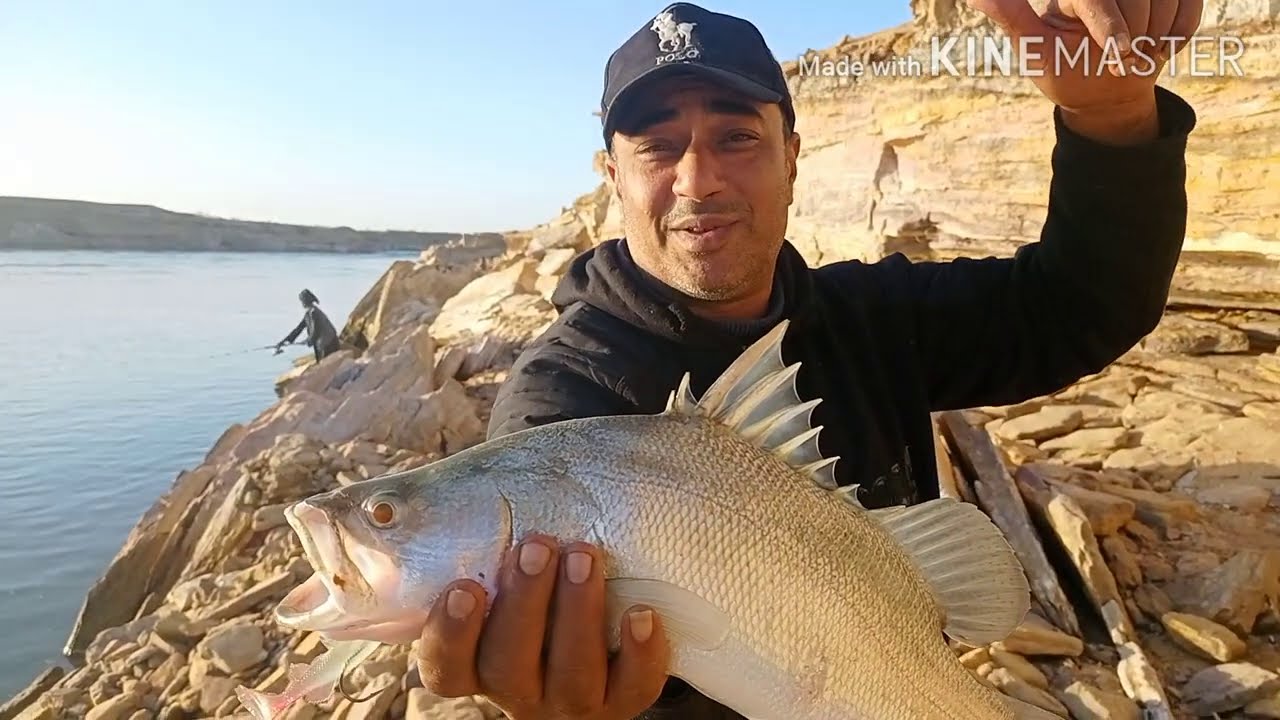 مقتطفات من اسماك مفيض توشكي والصيد ودلع الصيد