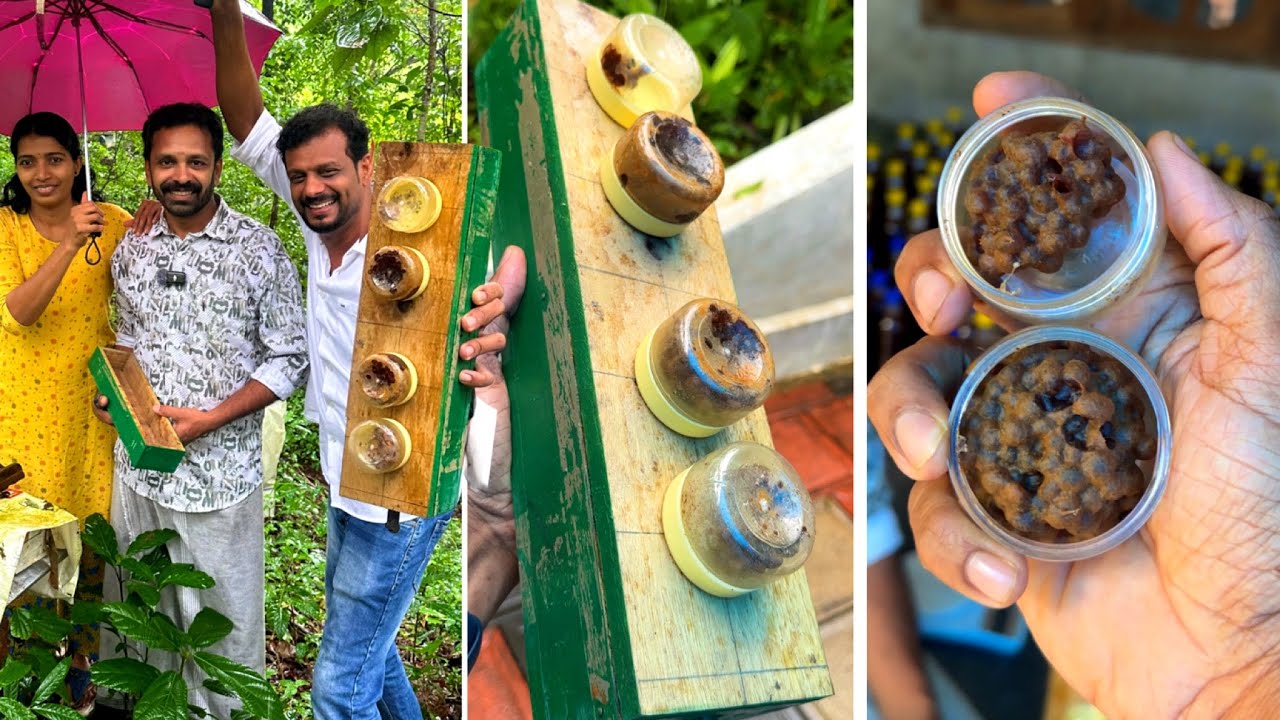 ഏത് കൊച്ച് കുട്ടിക്കും ഇനി തേനീച്ച കൂട്ടിൽ നിന്നും തേൻ എടുക്കാം | Bottle Honey Production | Bee
