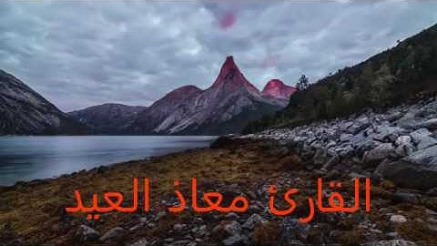 الوتر مع الدعاء الليلة العاشرة بصوت القارئ معاذ العيد جودة عالية حصرياً لايفوتكم