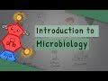 Microbiology Fundamentals: Exploring Microorganisms and Their Classification