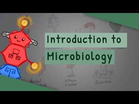 Video: Ano Ang Microbiology