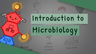 Introduction To Microbiology screenshot 1