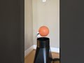 Bernoulli effect - Levitate a ball on a column of air from a shop fan