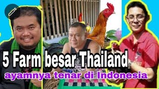 INI DIA !!! 6 Ayam Bangkok Termahal Harga hingga 250 Juta Rupiah. 