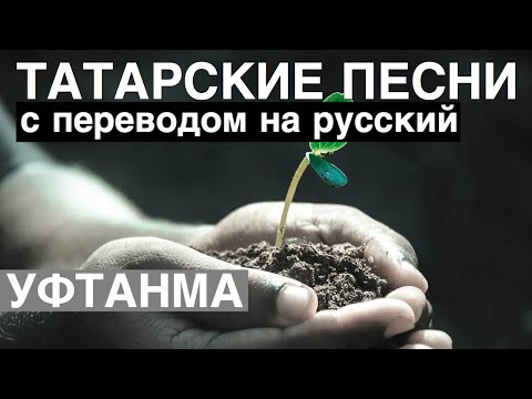 Элвин Грей I Татарские песни с переводом на Русский I Уфтанма / Не сожалей