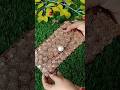 reuse clutch ideas|old wallet ko new bnaye|#diy #craft #shorts #viral